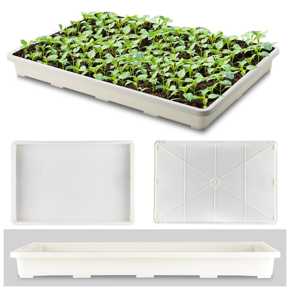 RooTrimmer tray fitted with 24-cell pots demonstrating secure pot fit for transport