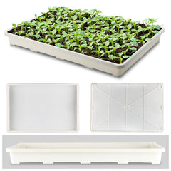 RooTrimmer tray fitted with 24-cell pots demonstrating secure pot fit for transport