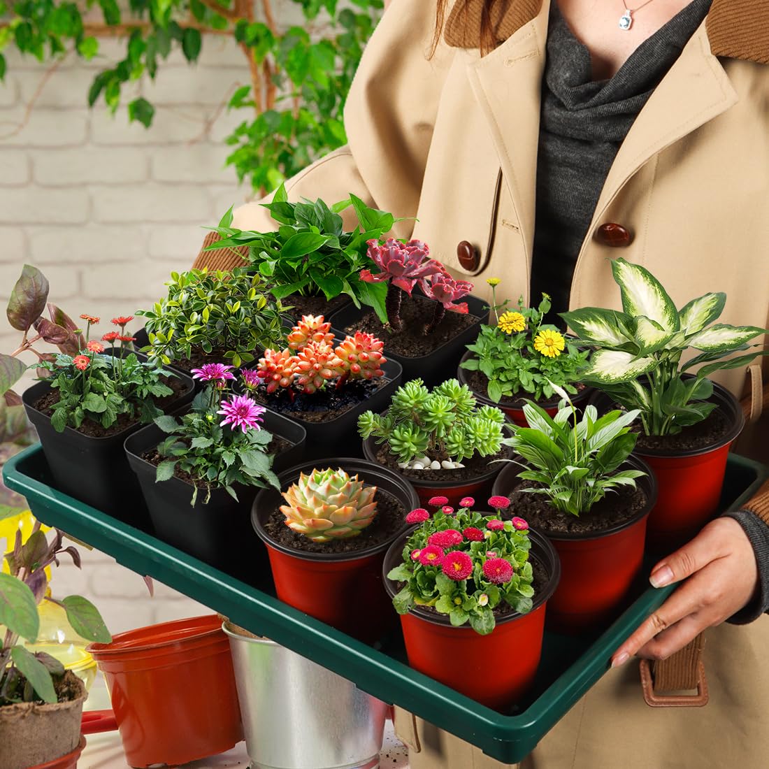 RooTrimmer tray placed inside carry tray to prevent leaks while transporting seedlings