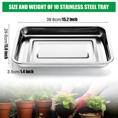 RooTrimmer tray holding a 54-cell plug tray for stable, even seedling support