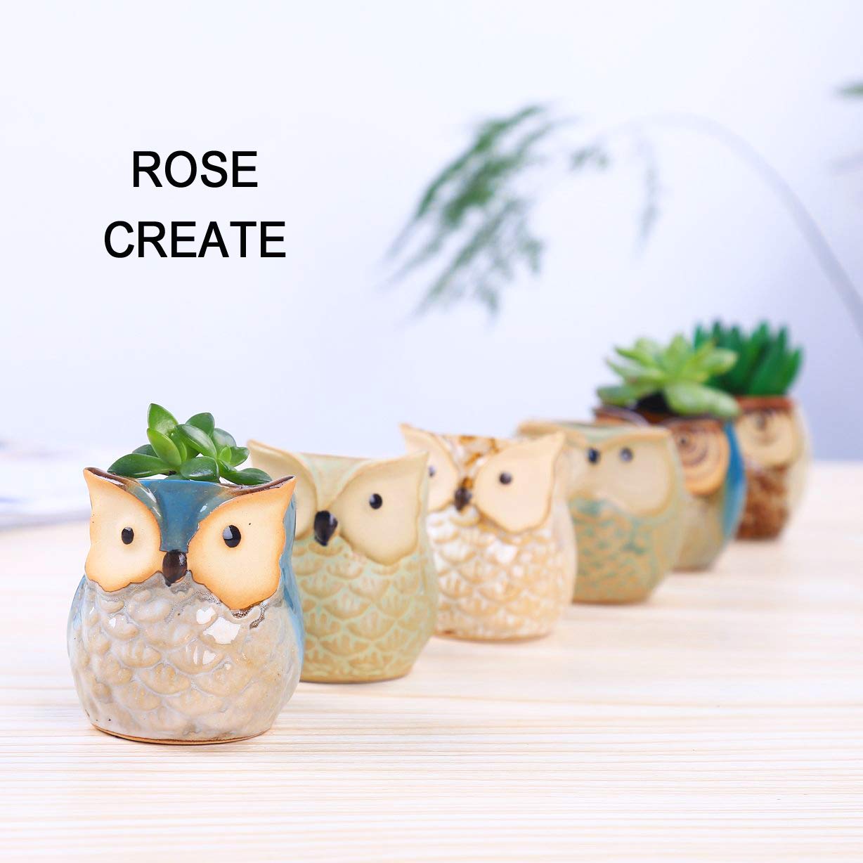 ROSE CREATE close-up of glazed owl pot texture and shine, highlights color appeal