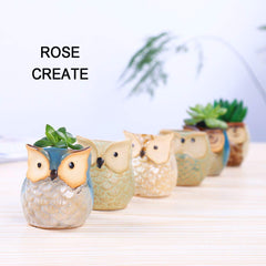 ROSE CREATE close-up of glazed owl pot texture and shine, highlights color appeal