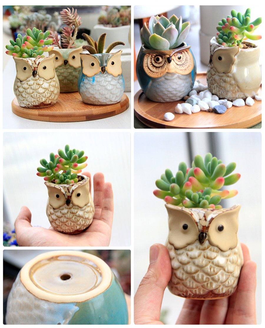 ROSE CREATE close-up of unglazed owl pot surface, shows natural matte finish advantage