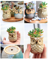 ROSE CREATE close-up of unglazed owl pot surface, shows natural matte finish advantage