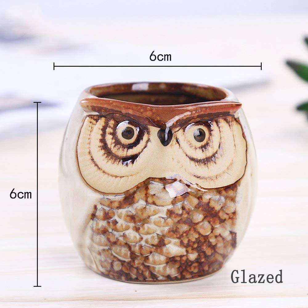 ROSE CREATE detailed shot of owl eye pattern and carving, emphasizes whimsical design