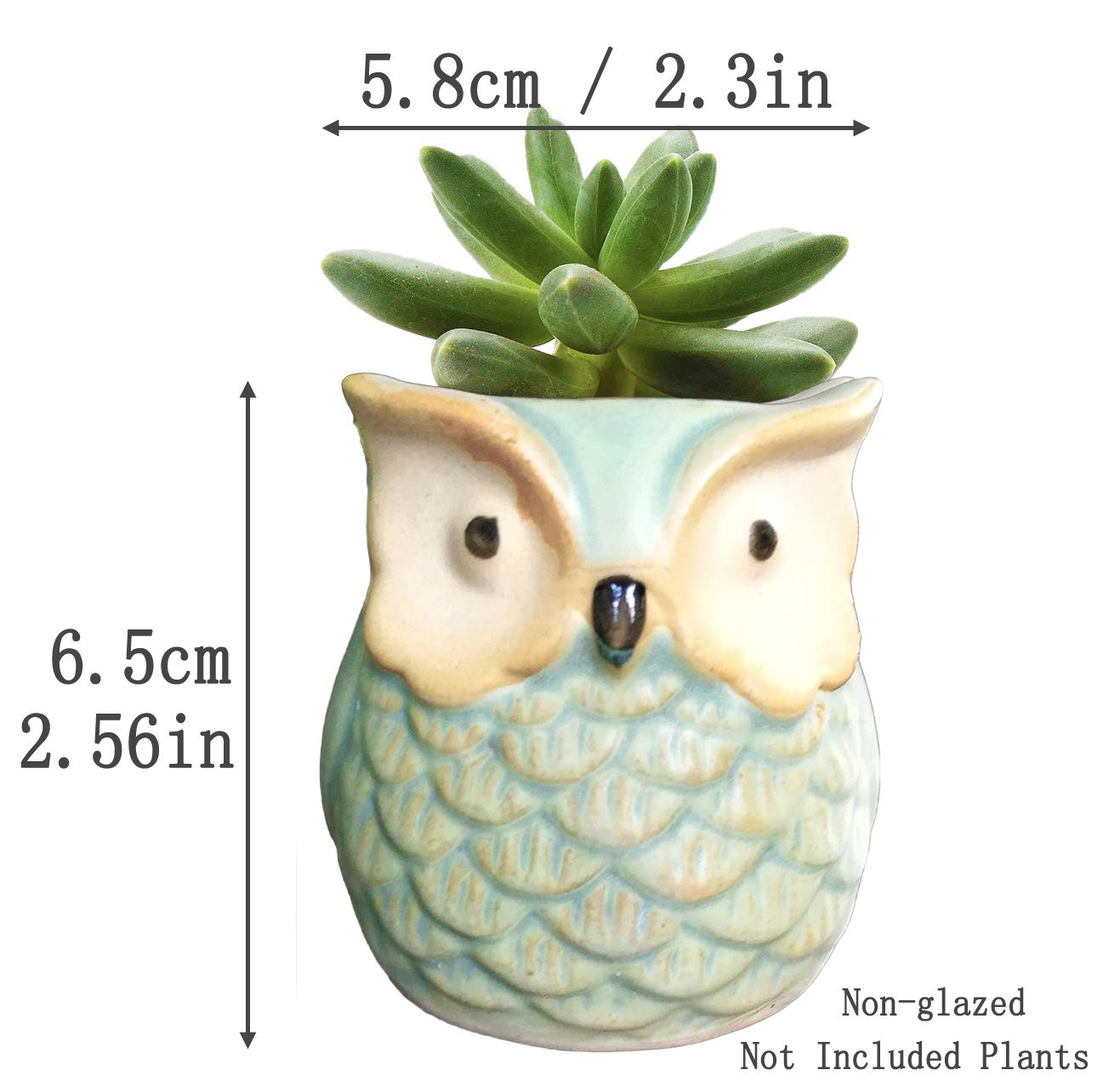 ROSE CREATE pot beside a ruler showing 2.5-inch size, clarifies scale for buyers