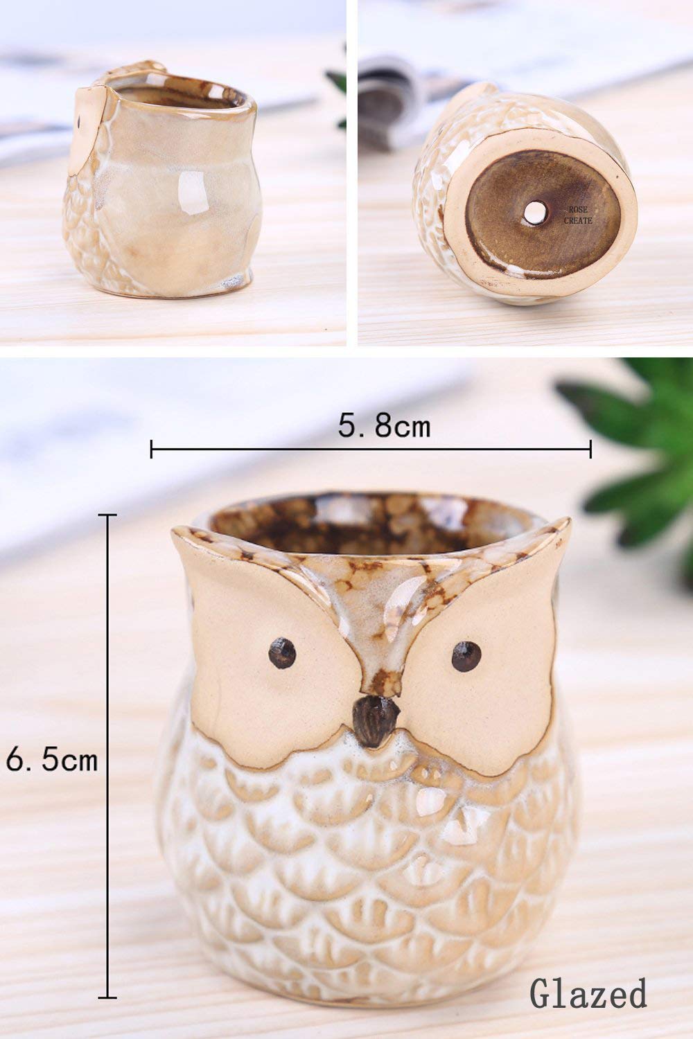 ROSE CREATE top-down view revealing drainage hole, helps prevent overwatering