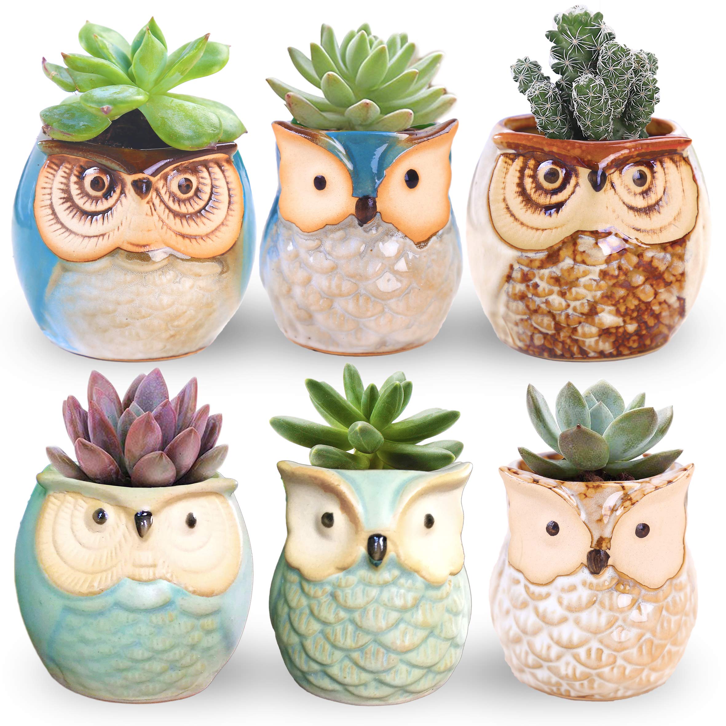 ROSE CREATE front view of six owl pots showing shapes and colors, decorative display benefit