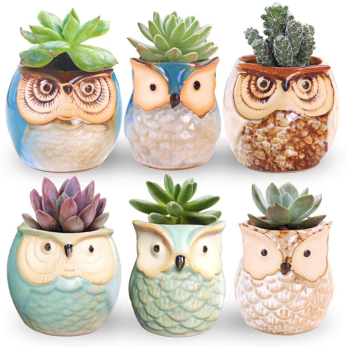ROSE CREATE front view of six owl pots showing shapes and colors, decorative display benefit