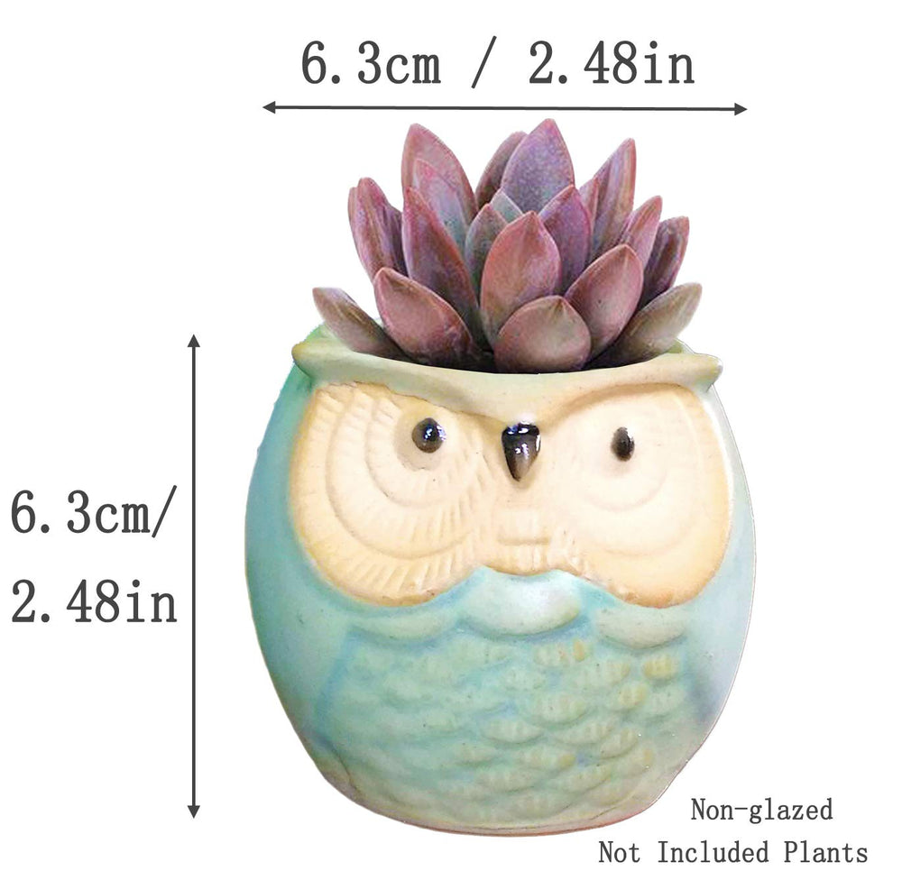 ROSE CREATE boxed owl pots wrapped as a gift, ready-for-gifting convenience