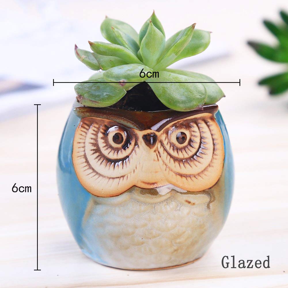 ROSE CREATE group of six owl pots arranged together, demonstrates attractive cluster display