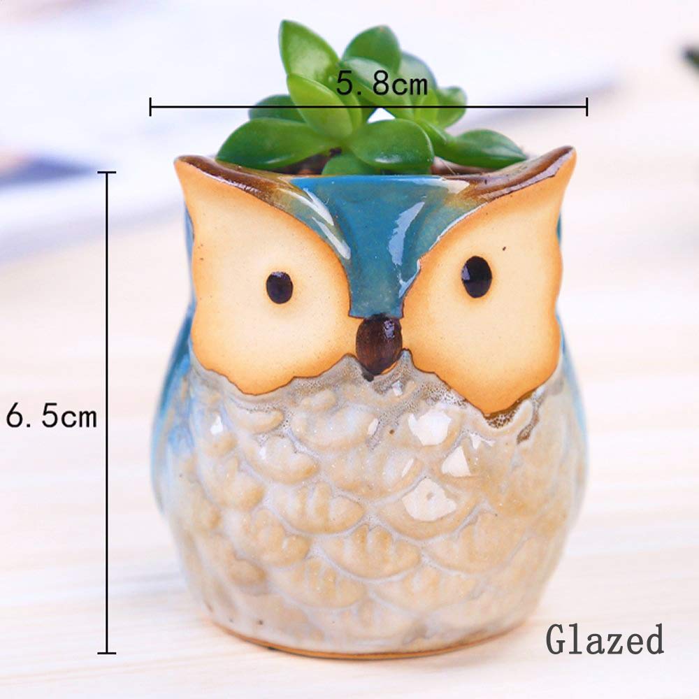 ROSE CREATE styled on a windowsill with succulents, adds charm to small spaces