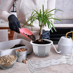 Roshtia detachable hook attached to pot emphasizing secure hanging support