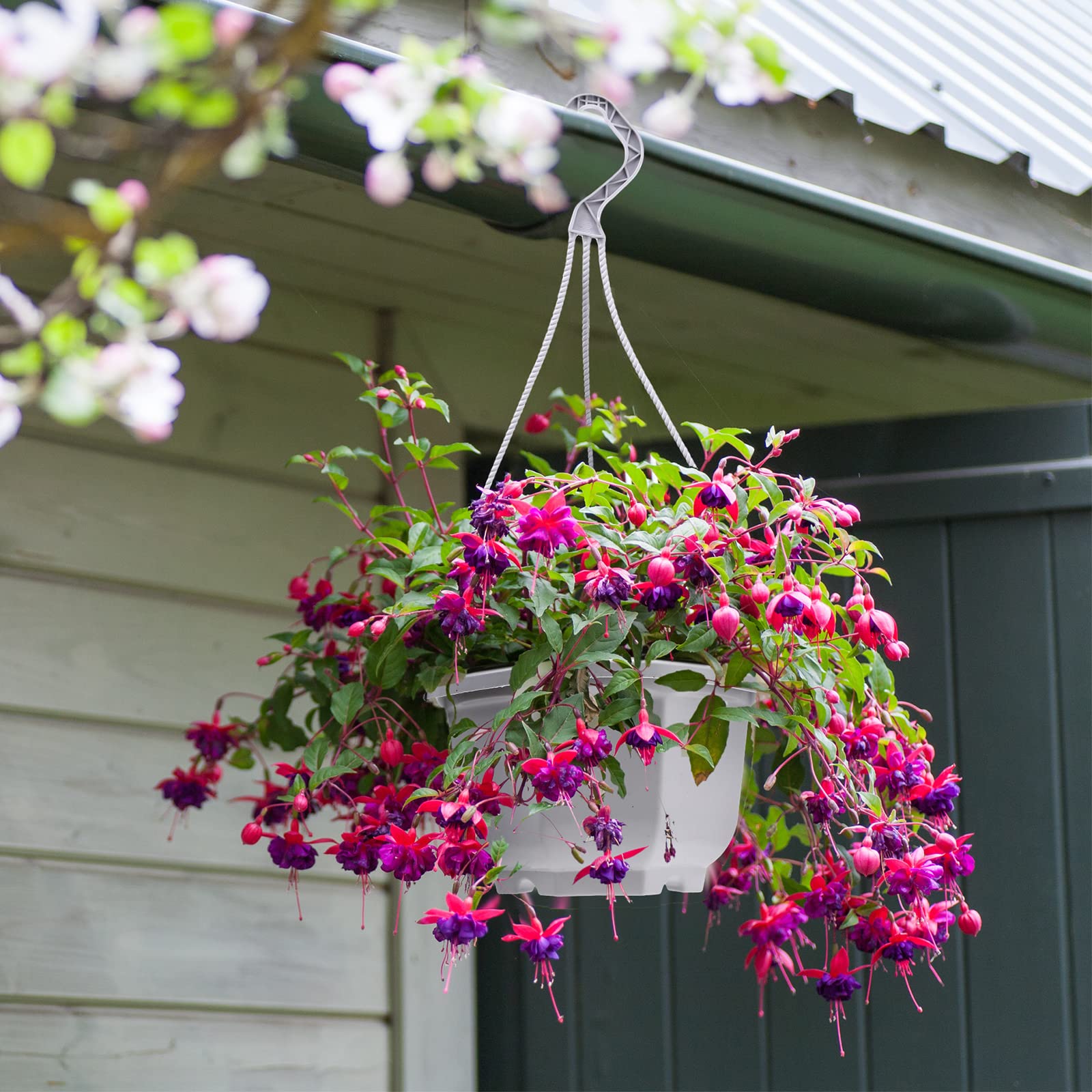 Roshtia hook and chain detail illustrating secure hanging and simple installation