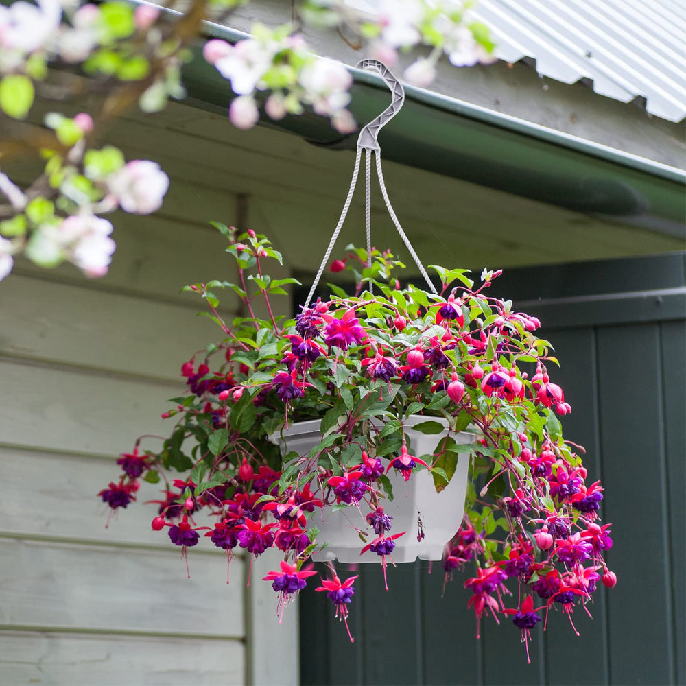 Roshtia hook and chain detail illustrating secure hanging and simple installation