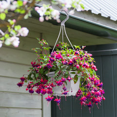 Roshtia hook and chain detail illustrating secure hanging and simple installation