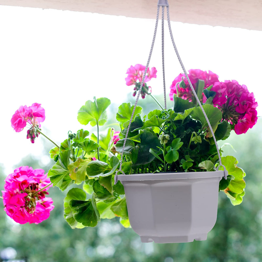 Roshtia balcony display with multiple pots offering cohesive outdoor styling