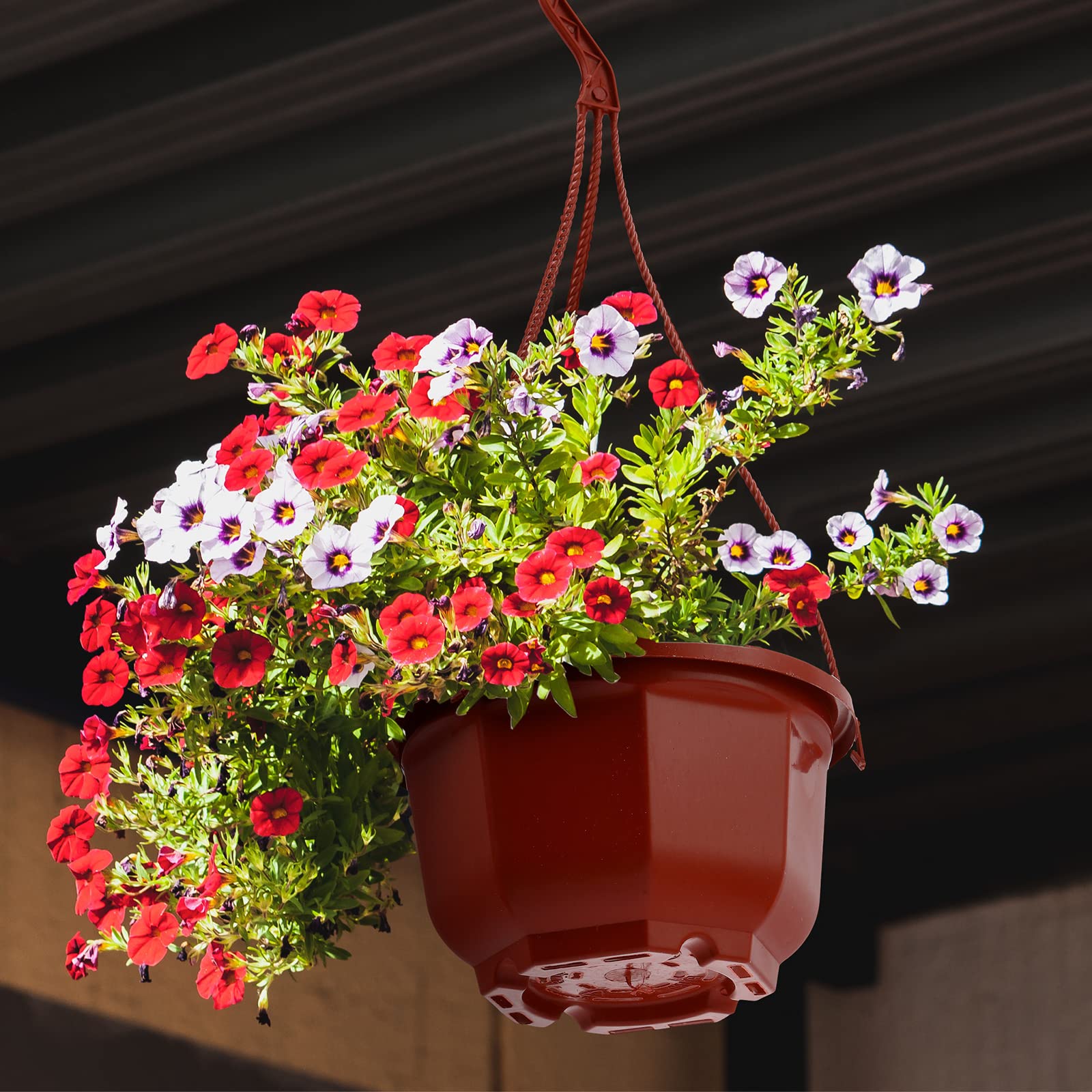 Roshtia stacked pots ready to plant and store for seasons