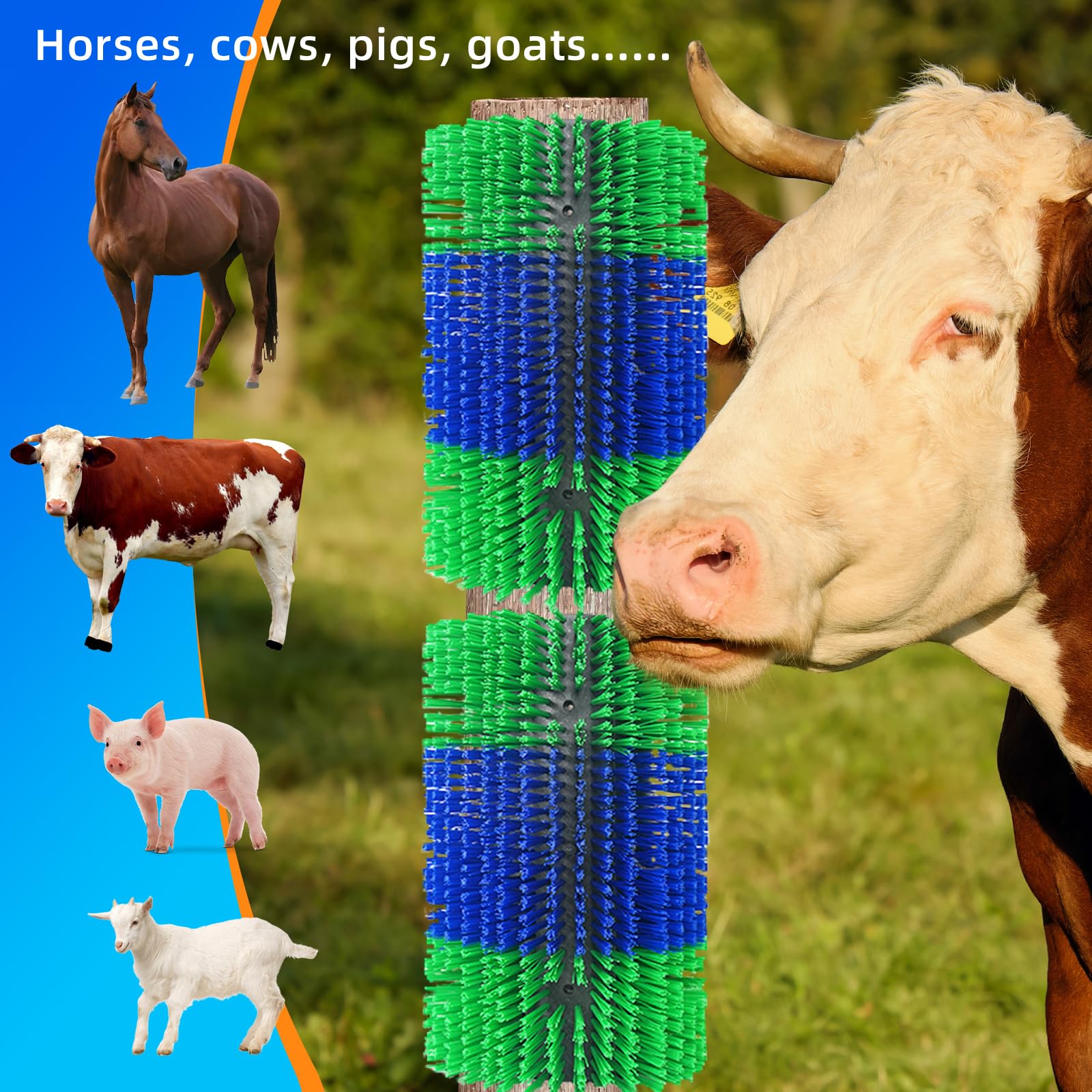 Rouisxue horse using scratcher in pasture for self-grooming relief