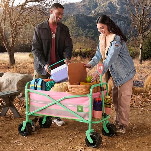 Roxy folded wagon in car trunk to show compact storage and portability