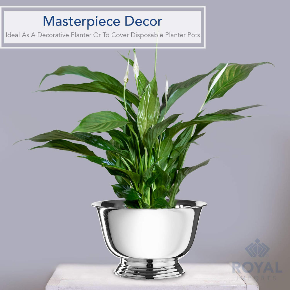 Royal Imports bowl planted with succulents benefit: versatile planter without breakage