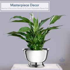 Royal Imports bowl planted with succulents benefit: versatile planter without breakage