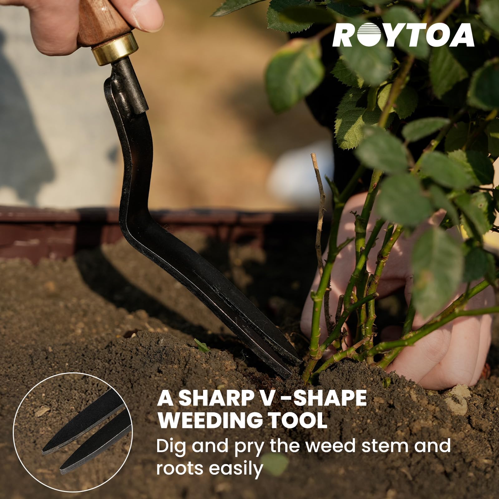 roytoa trowel and shovel side-by-side showing tool shapes for planting and moving soil