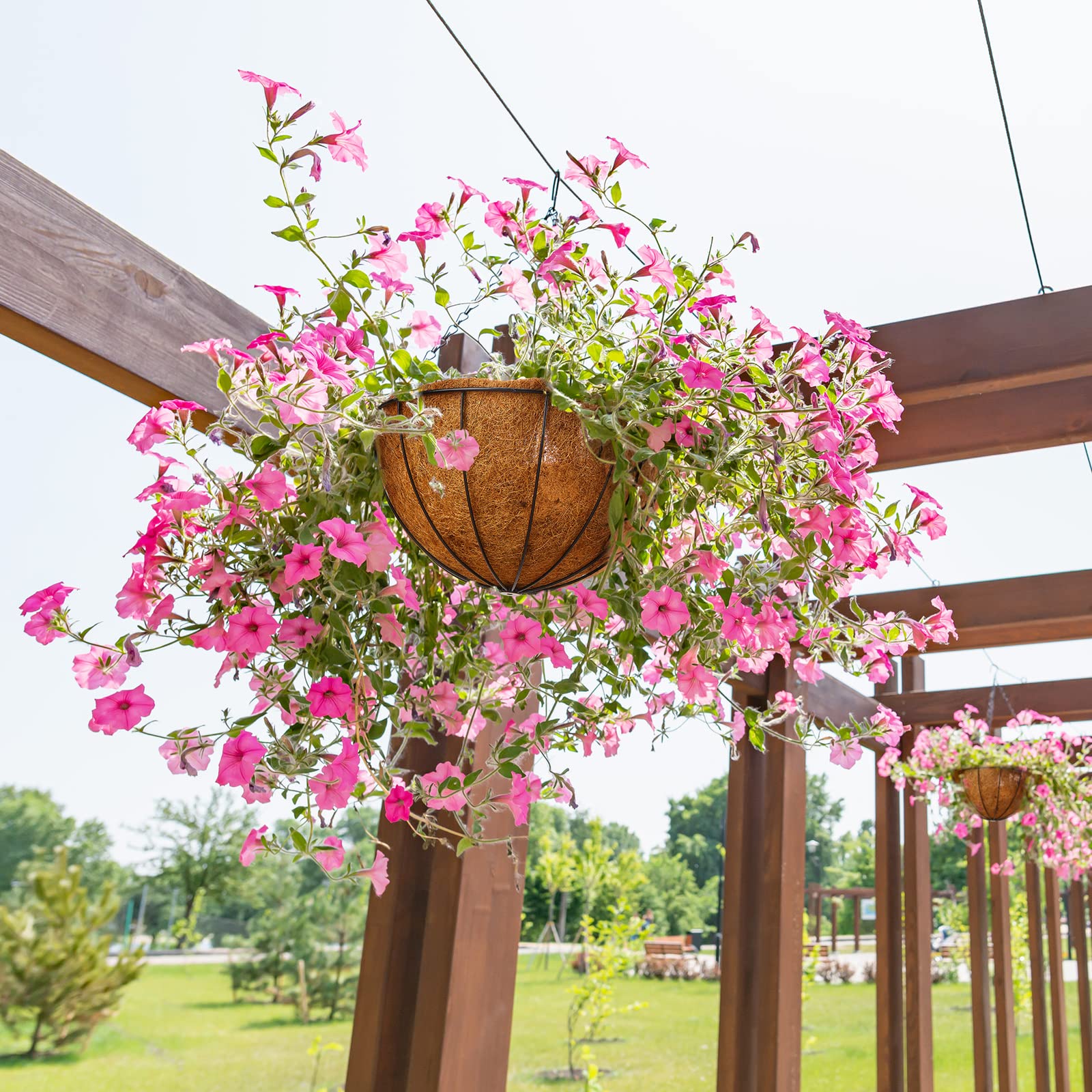 Rtteri hanging basket in use on balcony adding vertical color and curb appeal