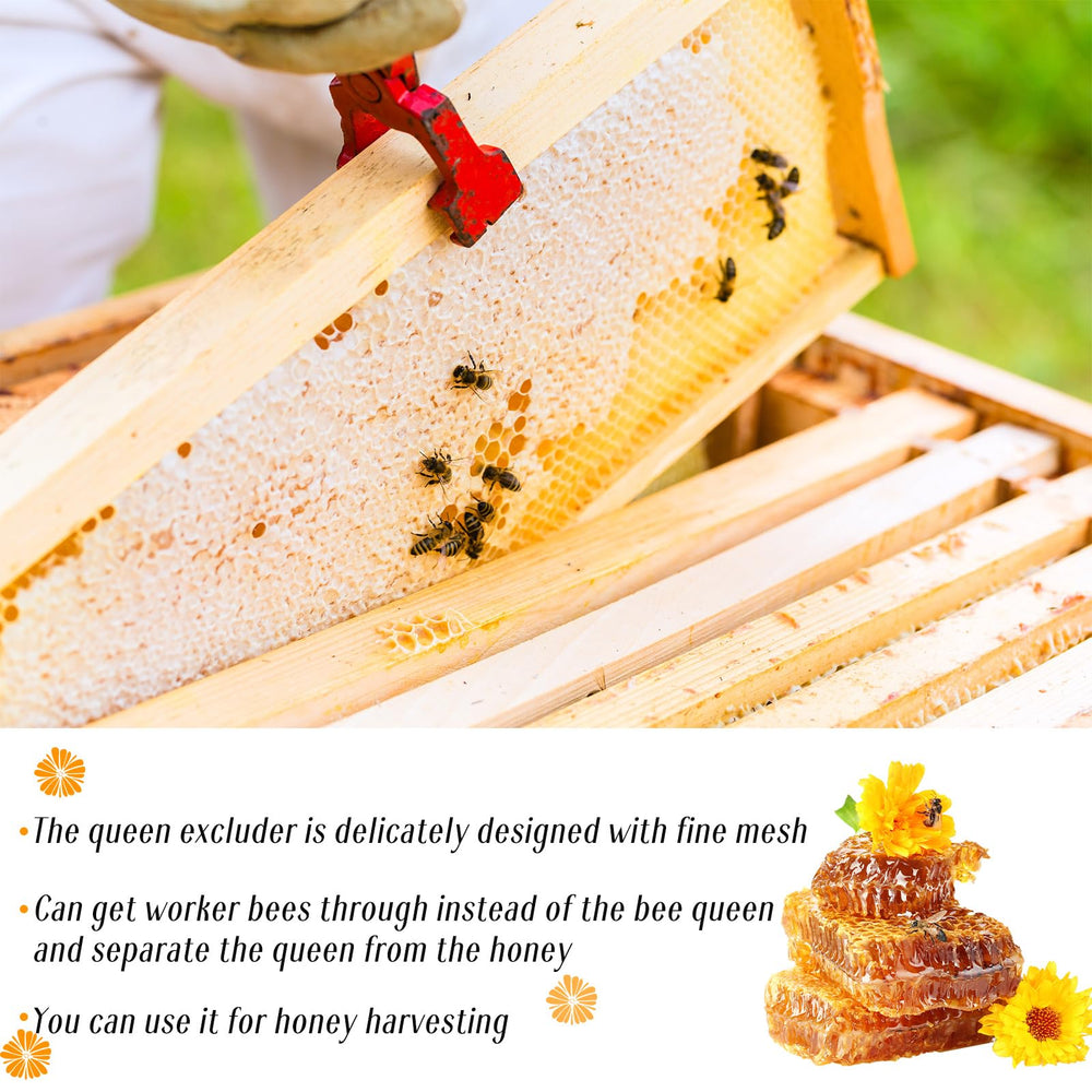 Rtteri in backyard apiary setting showing practical use during honey harvest