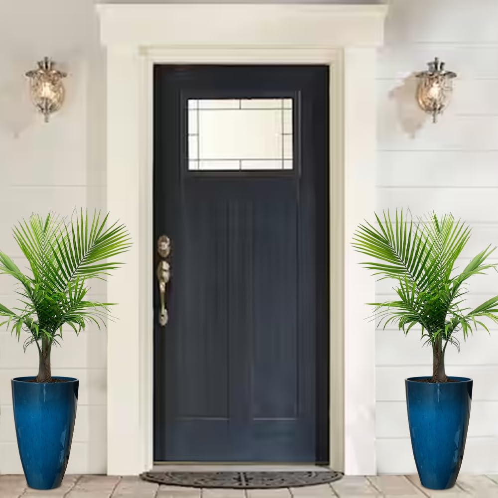 RUBBER BOND planter in living room demonstrating stylish decor and space enhancement