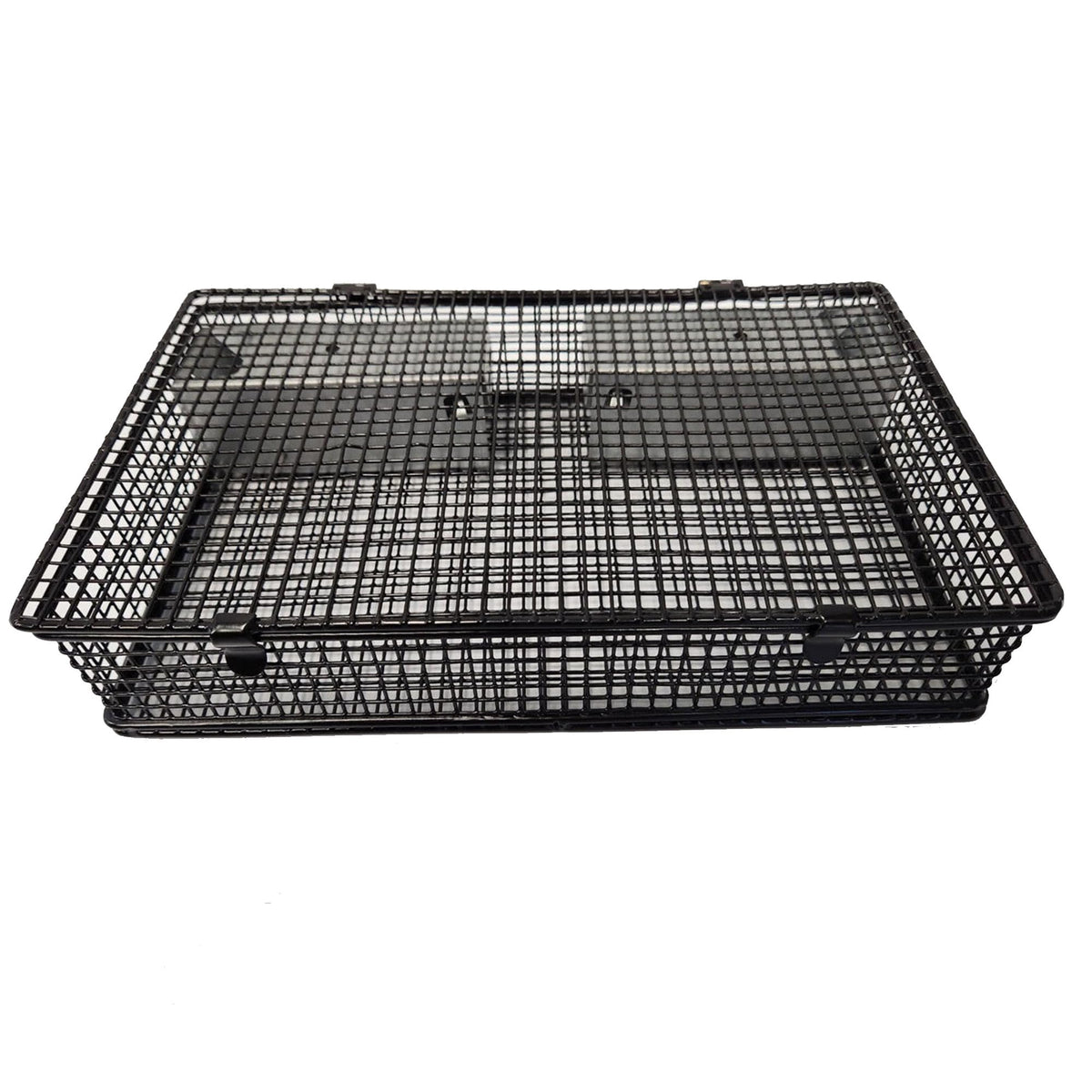 Rugged Ranch Mousinator front view showing compact multi-catch cage and entry doors for effective trapping