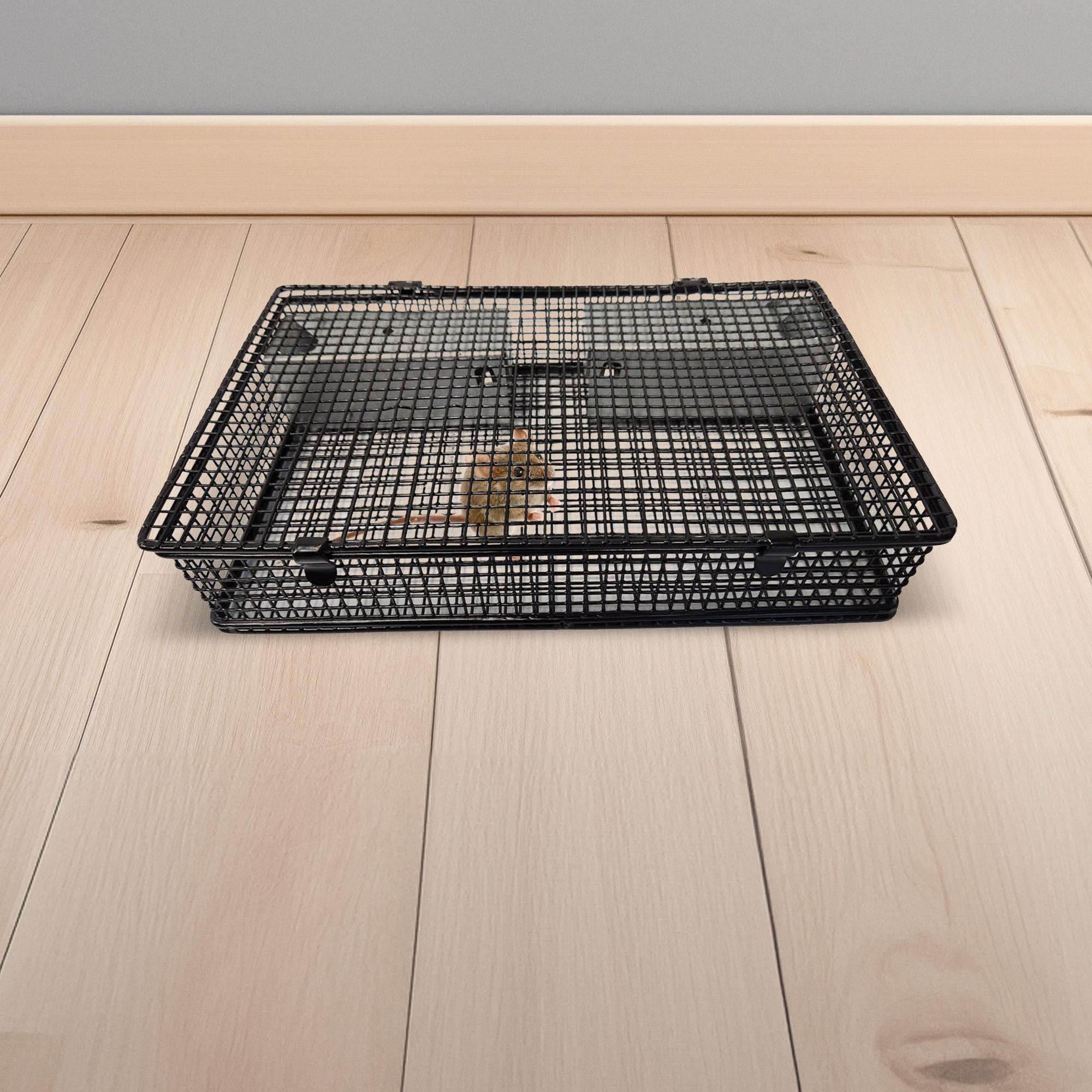 Rugged Ranch Mousinator wire mesh detail demonstrating durable construction and clear visibility