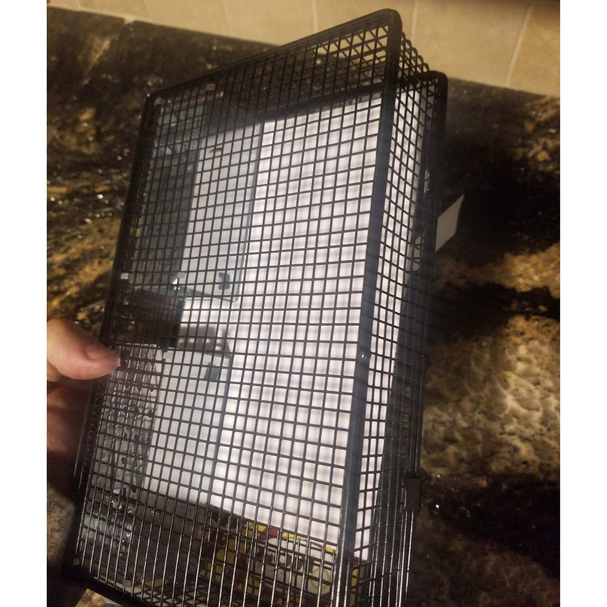Rugged Ranch Mousinator interior with bait installed showing simple setup for attracting mice