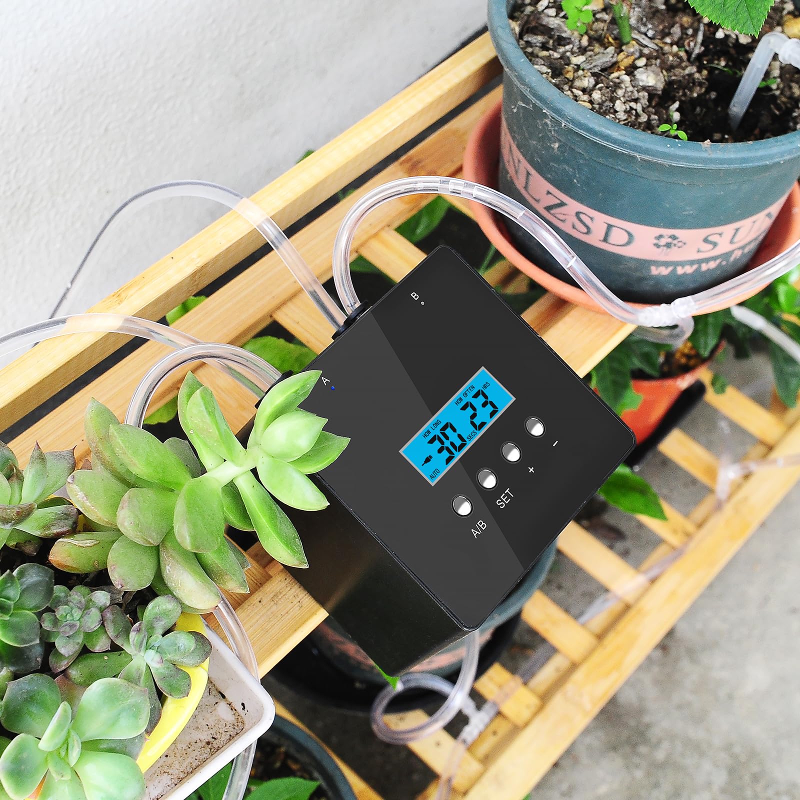 RUNWUSHENG lifestyle indoor setup showing reliable plant care benefit