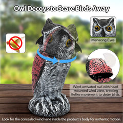 Ruolan owl rotating head close-up demonstrating motion for bird avoidance