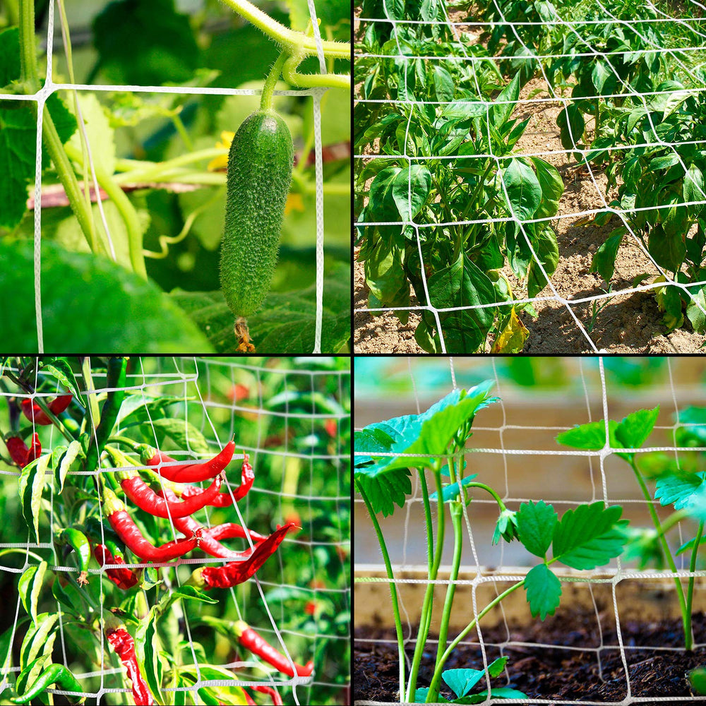 Rural365 outdoor garden scenario holding cucumbers and beans off the soil
