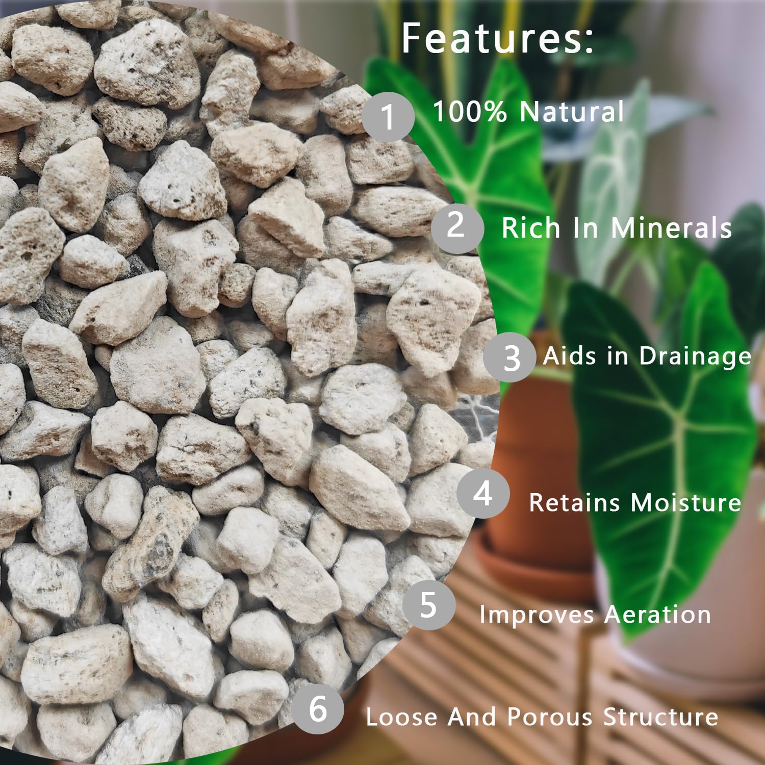 Rurtsva close-up of pumice granules showing porous texture and aeration