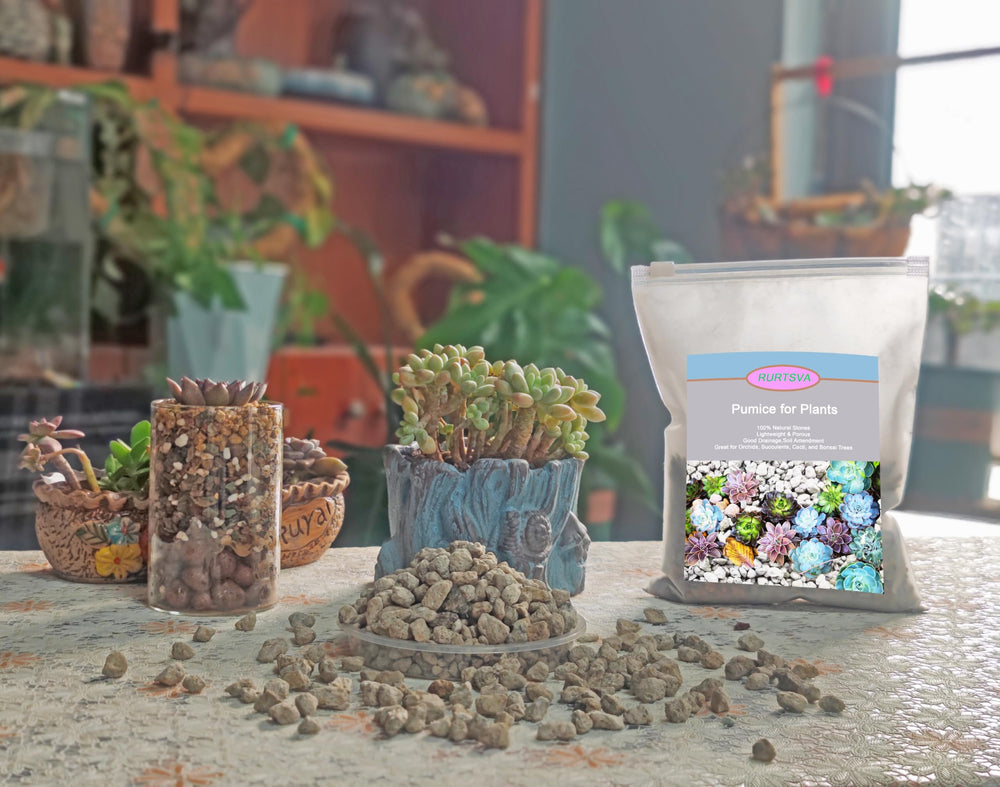 Rurtsva pumice on a potting bench in use, simplifying plant care