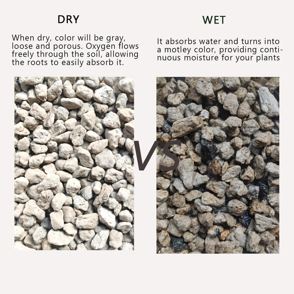 Rurtsva pumice blended into potting soil, improving drainage and structure