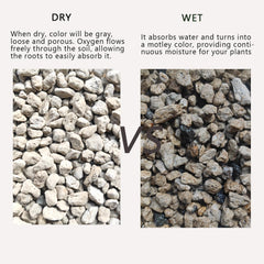 Rurtsva pumice blended into potting soil, improving drainage and structure