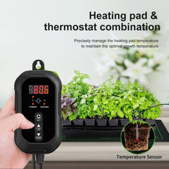 Ruyyi soil probe inserted in pot demonstrating accurate root-zone temperature sensing