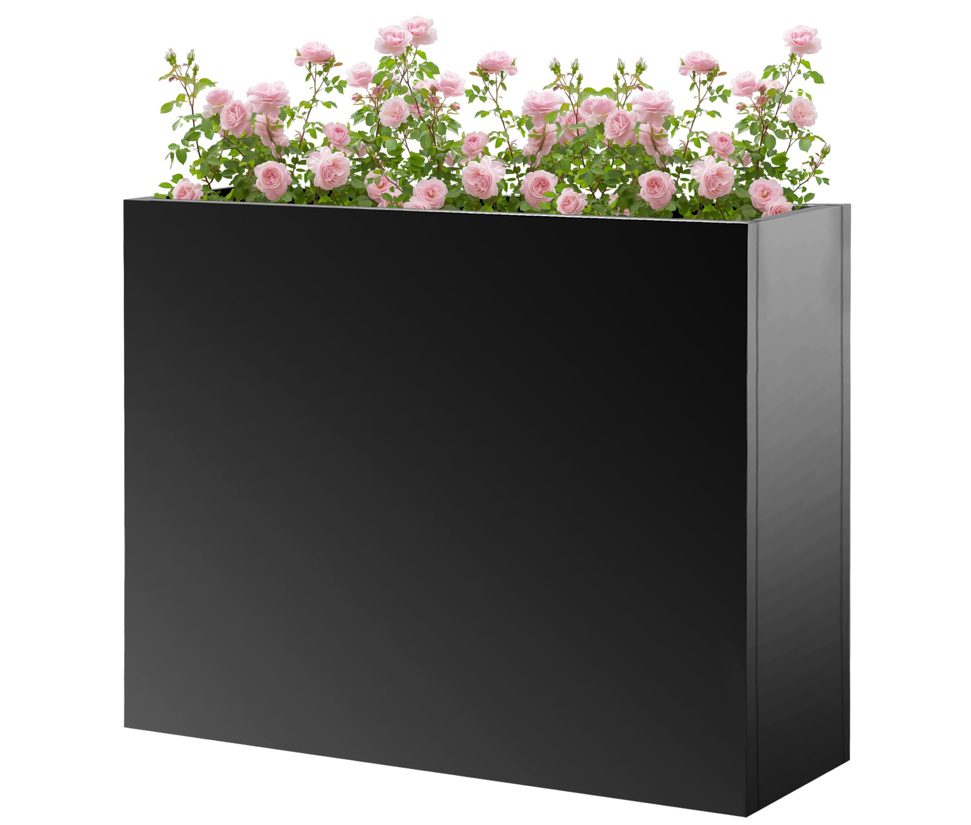 R.Wisem lower tier depth displayed with deep-rooted plants for capacity
