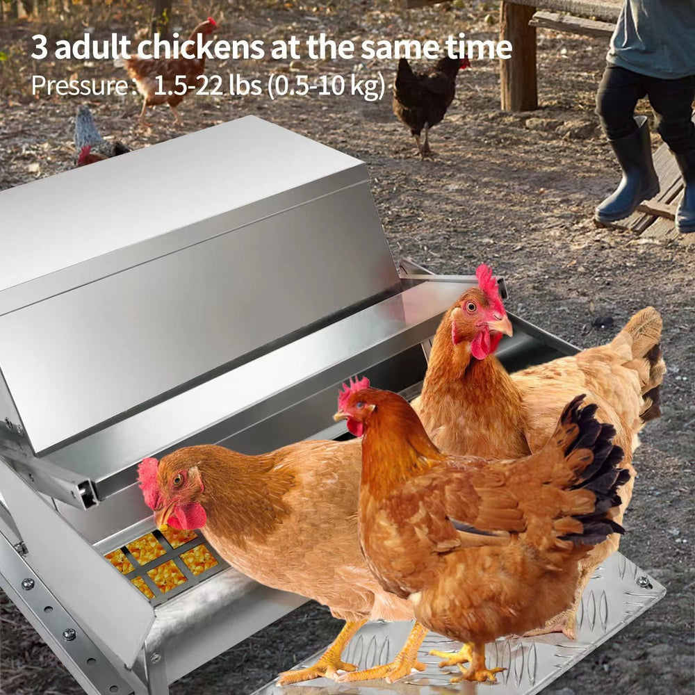 RYFT feeder inside a chicken coop demonstrating hands-free daily feeding benefit