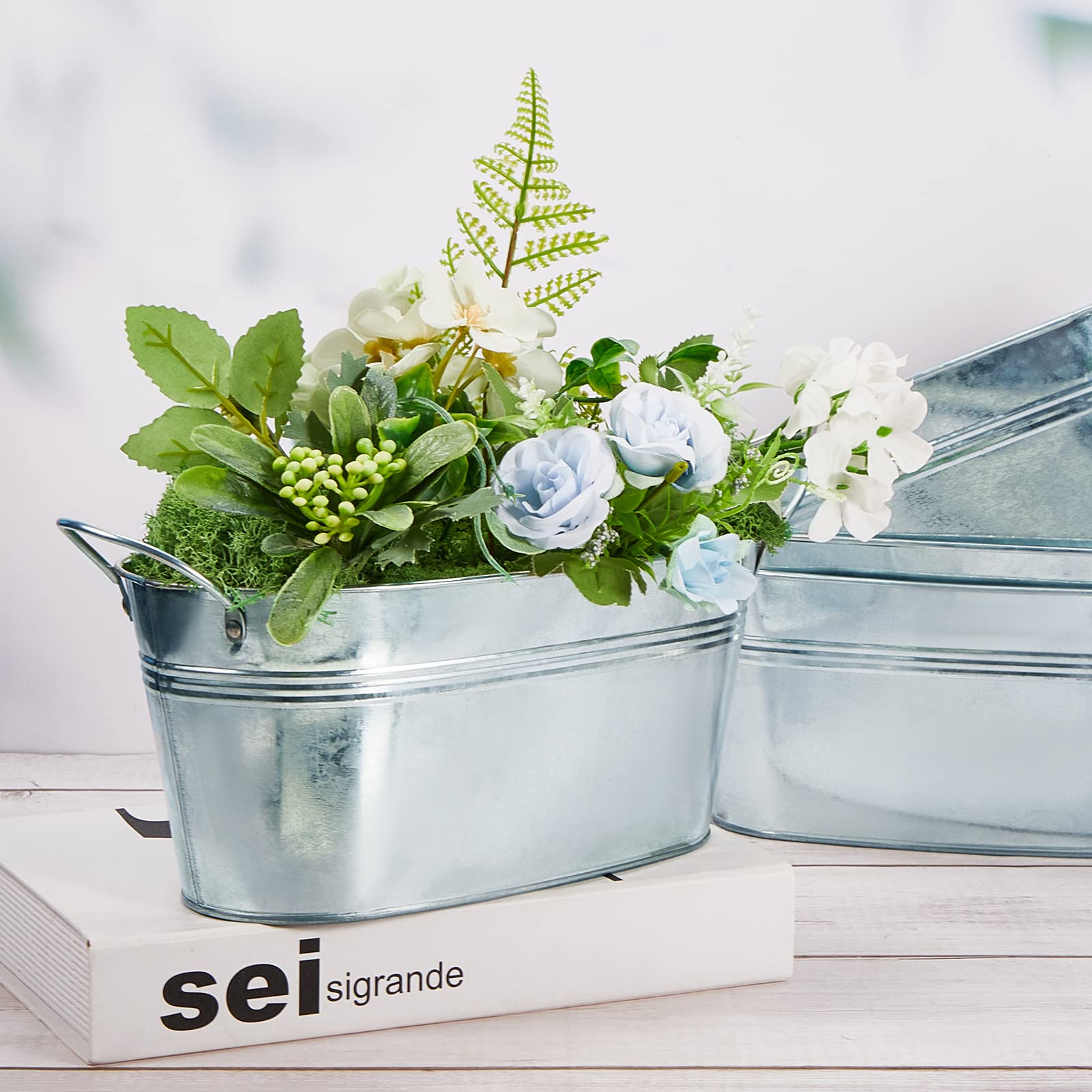 Sabary planters on windowsill with herbs for compact gardening benefit