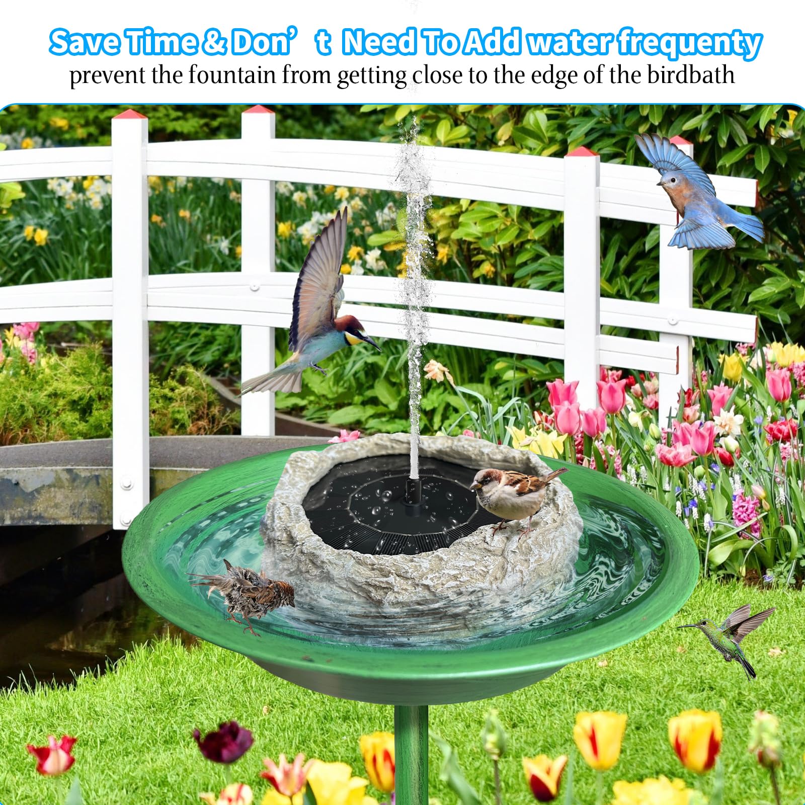 SAC SMARTEN ARTS fountain in garden setting adding ambiance and bird appeal