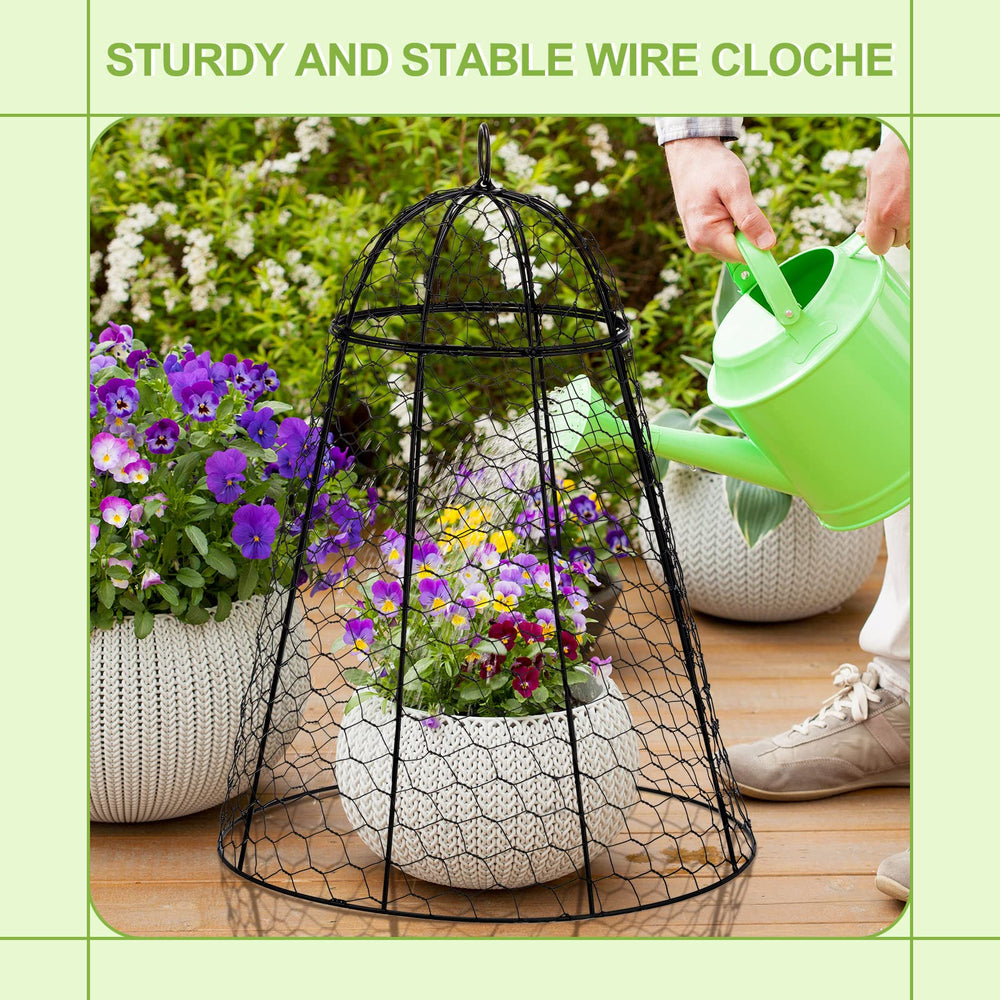Sadnyy lifestyle patio setup with cloches protecting potted vegetables benefit