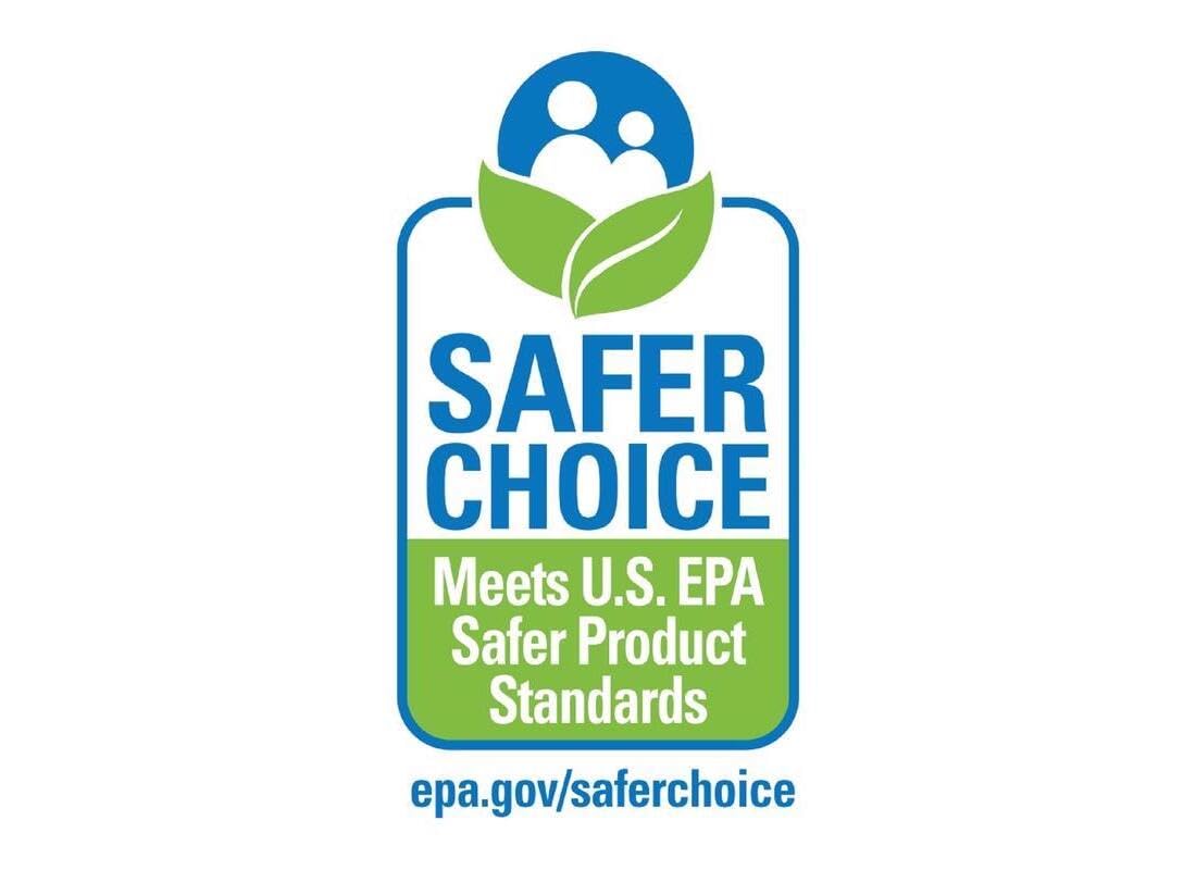Dog walking near treated path illustrating Safe Step pet-safe benefit
