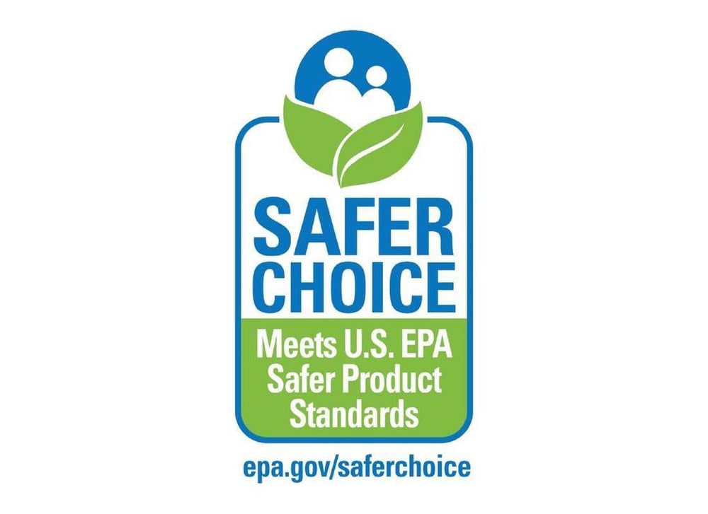 Dog walking near treated path illustrating Safe Step pet-safe benefit