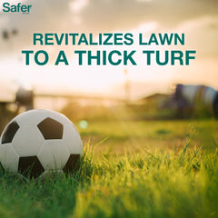 Safer Brand spreader applying fertilizer evenly for consistent turf benefit