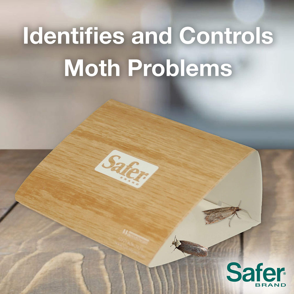 Safer trap on a kitchen shelf near dry goods for preventative household protection